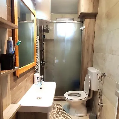 Cozy, & Quiet Lucky - Garage On Demand Or Free Public Parking Apartment *