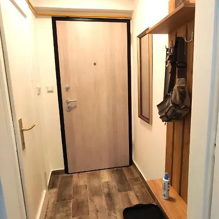 Apartment Cozy, & Quiet Lucky - Garage On Demand Or Free Public Parking *