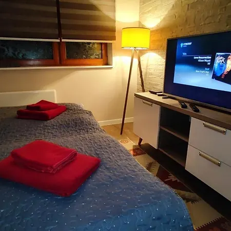 Cozy, & Quiet Lucky - Garage On Demand Or Free Public Parking Apartament *