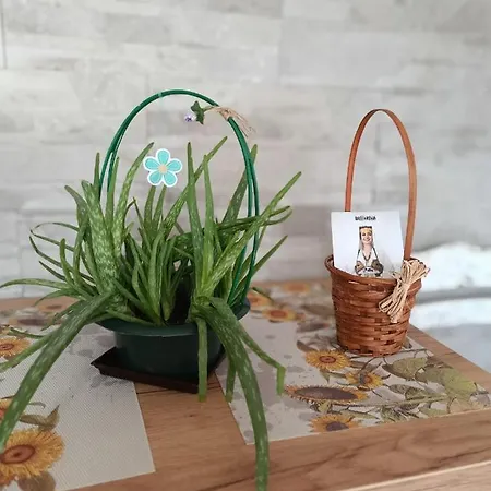 Apartment Cozy, & Quiet Lucky - Free Public Parking *