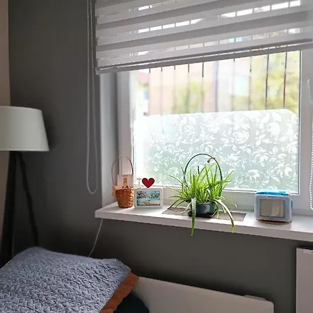 Cozy, & Quiet Lucky - Free Public Parking *